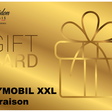 Cartes Cadeaux Playmobil XXL